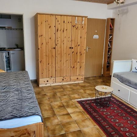 Apartment Betzenberg, Nur Netflix Καϊζερσλάουτερν Εξωτερικό φωτογραφία