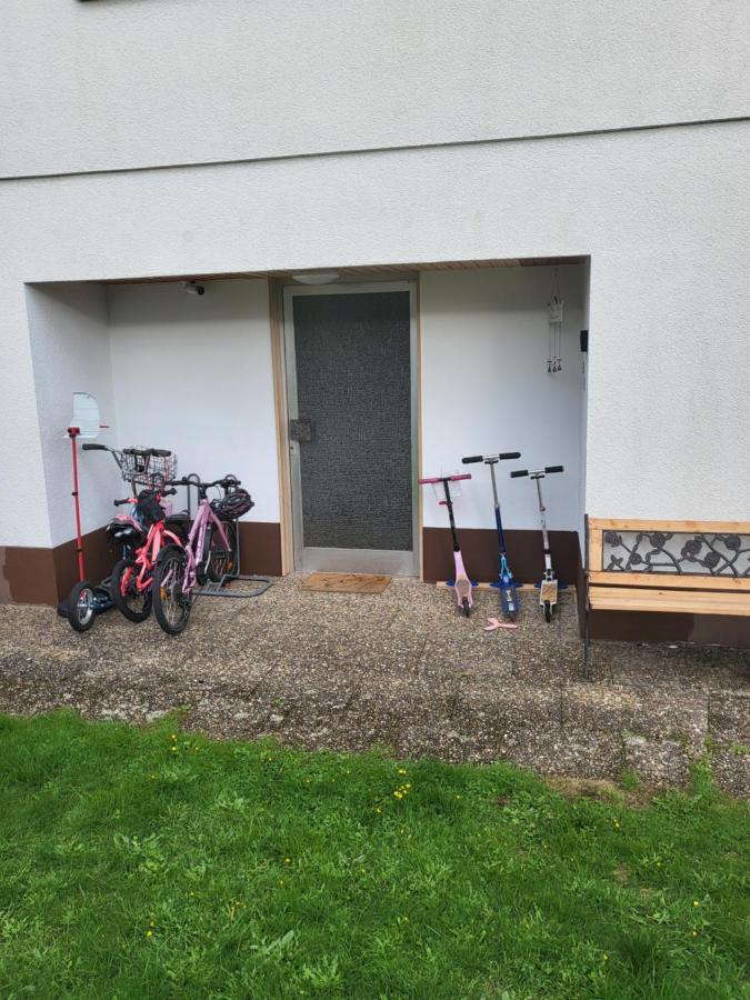Apartment Betzenberg, Nur Netflix Καϊζερσλάουτερν Εξωτερικό φωτογραφία